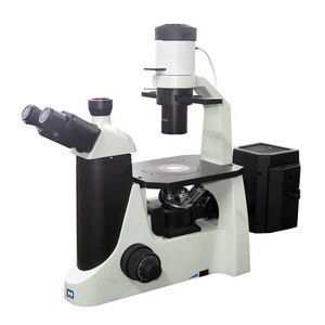 U, V, B, G Kroma filtreli Laboratuvar Ters Floresan Mikroskobu