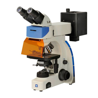 Binoküler Dik Floresan Mikroskop LF-202
