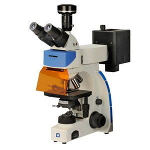 Dijital Trinoküler Floresan Mikroskop LF-302